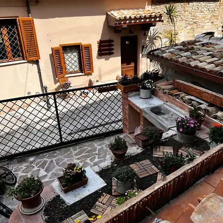 Zanna Casa *
