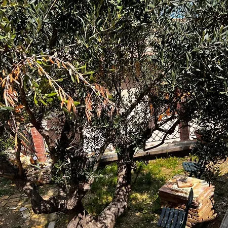 Zanna Casa Σπίτι διακοπών *