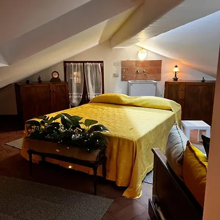 Zanna Casa *