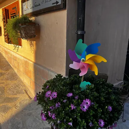 Holiday home Zanna Casa *